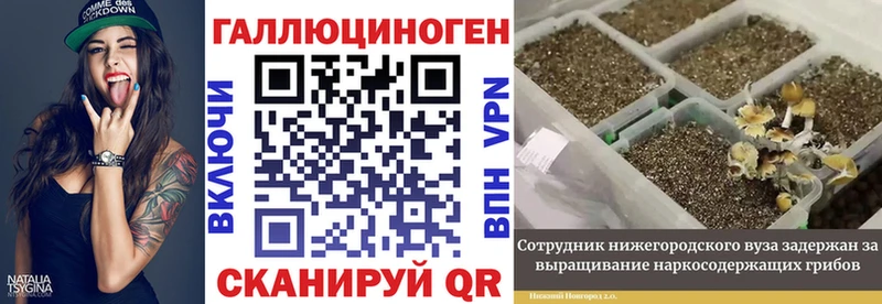 Галлюциногенные грибы мицелий Покровск